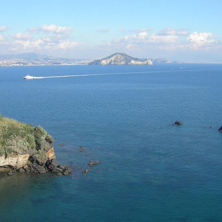 Albergo 'La Vigna' โปรชิดา ภายนอก รูปภาพ
