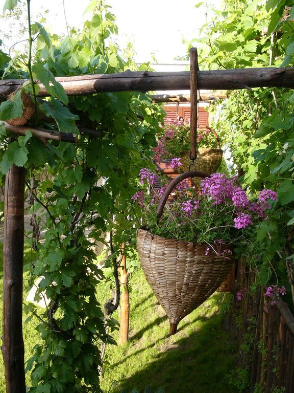 Albergo 'La Vigna' โปรชิดา ภายนอก รูปภาพ
