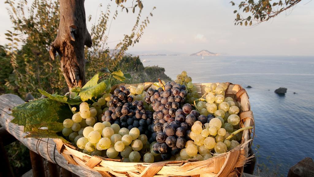 Albergo 'La Vigna' โปรชิดา ภายนอก รูปภาพ