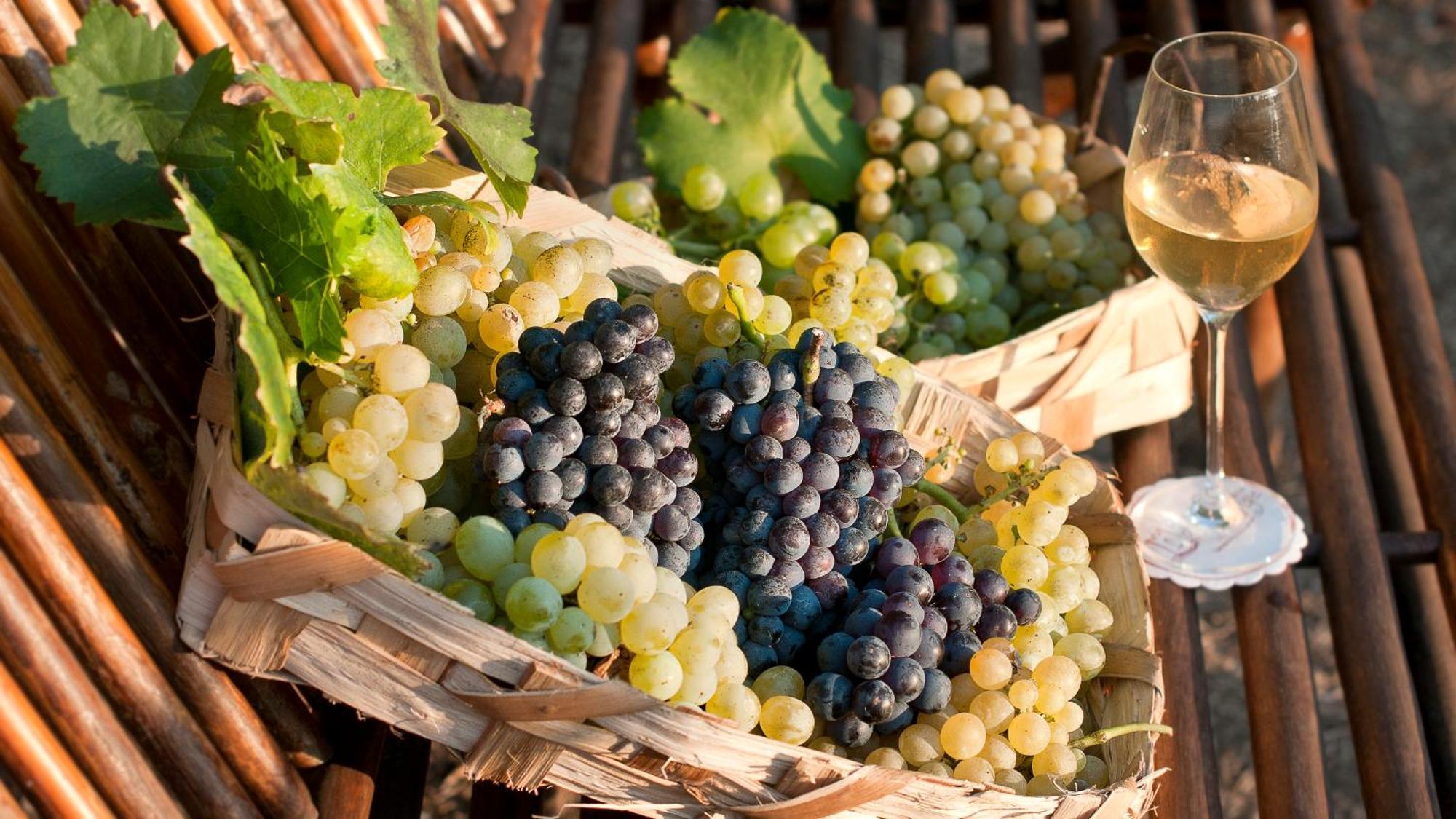 Albergo 'La Vigna' โปรชิดา ภายนอก รูปภาพ