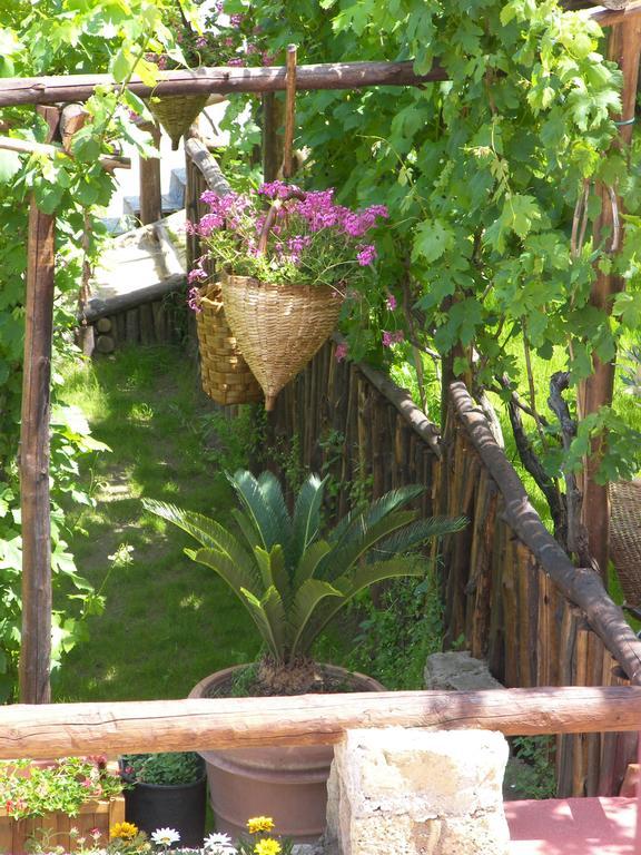 Albergo 'La Vigna' โปรชิดา ภายนอก รูปภาพ