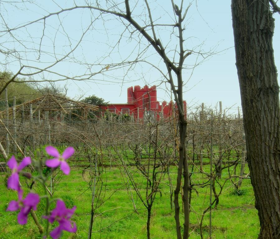 Albergo 'La Vigna' โปรชิดา ภายนอก รูปภาพ